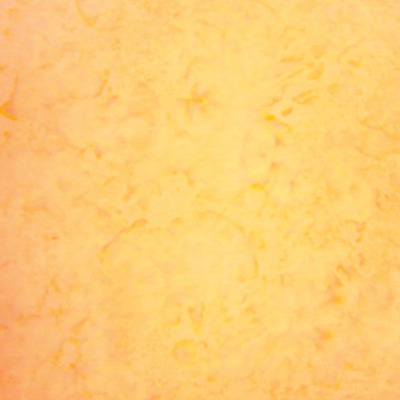 Fabric Hoffman Tutti Fruitti Watercolor Batiks by the Quarter Yard 1895-479